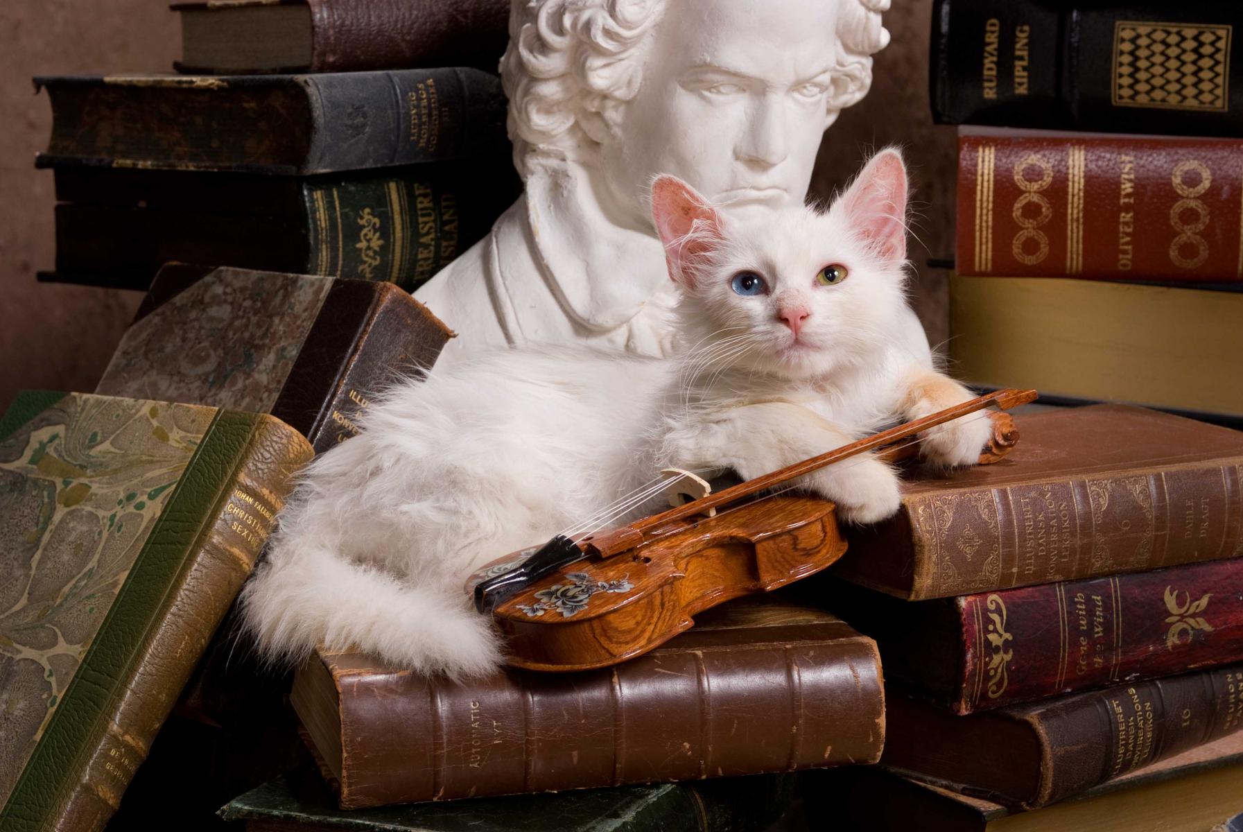Beethoven