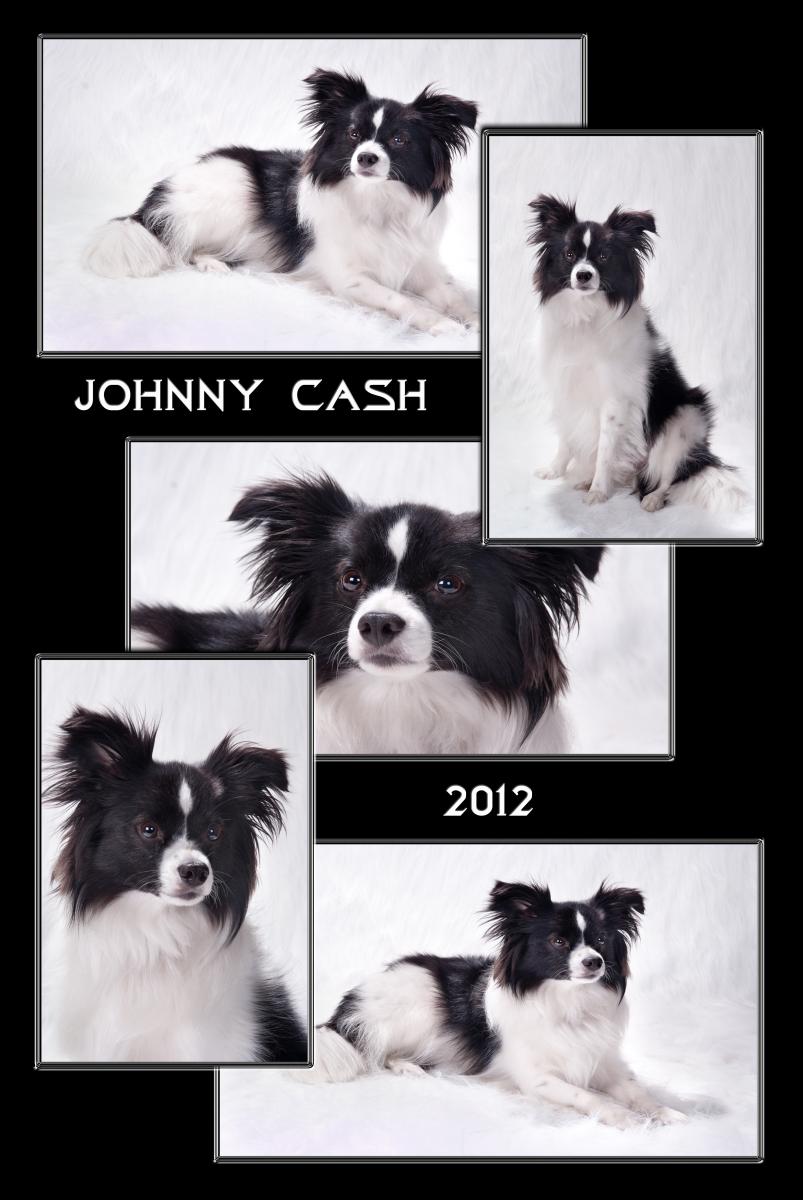 Custom Collage of Johnny Cash