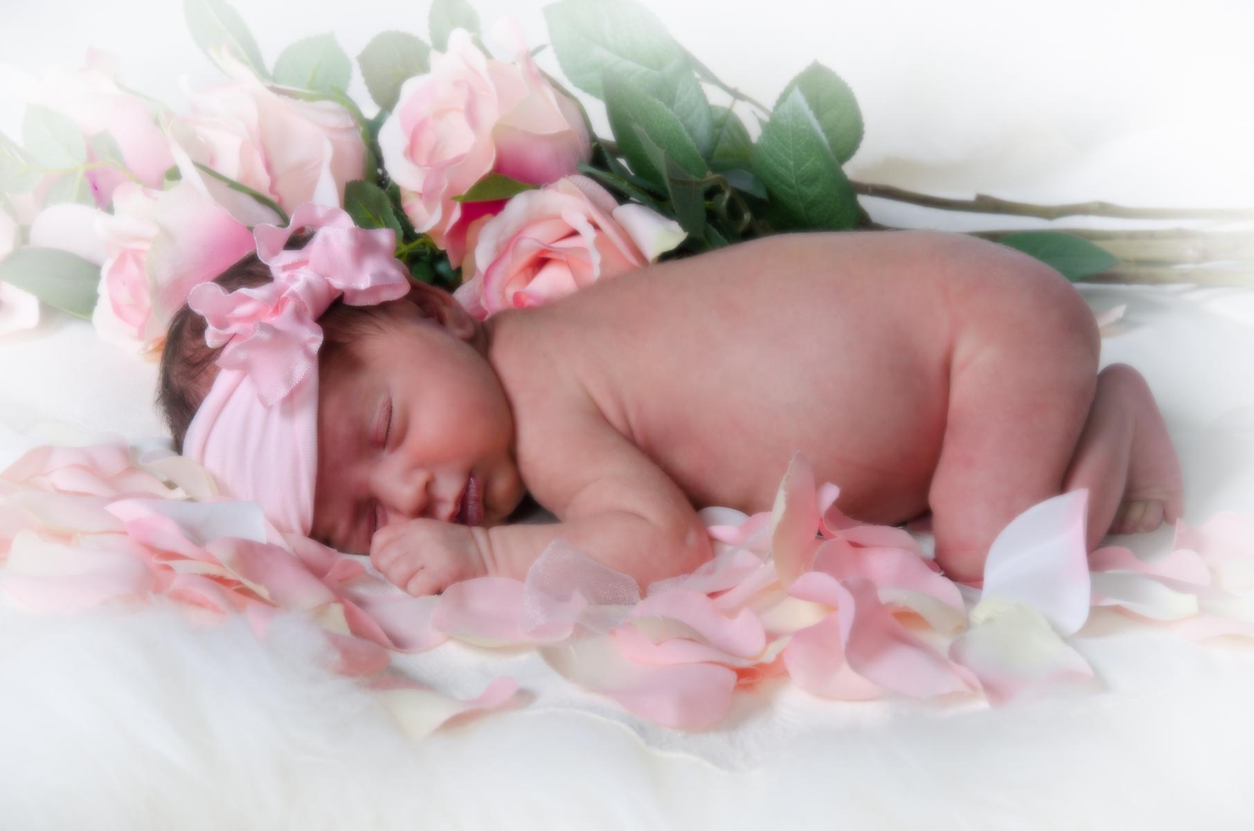 Portrait of Newborn Baby Girl Asleep in the Roses by Robertsons' Warehouse Photography, Wichita, KS